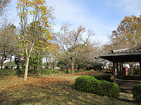 藤橋城跡公園