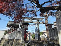 中神日枝神社鳥居