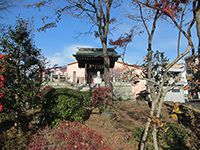 惣十郎稲荷・浅間・神明社