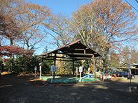 立川諏訪神社草相撲