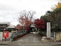 林泉寺参道