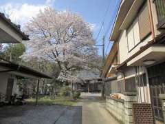 東光寺山門