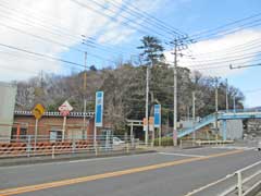 狭山神社鎮座の御林山