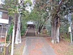 八雲神社（箱根ヶ崎）参道