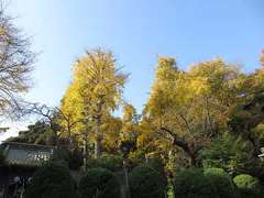 瀬戸ヶ谷八幡社境内