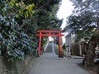 富岡八幡宮鳥居