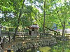 師岡熊野神社いの池