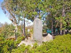 横根稲荷神社馬頭観音碑