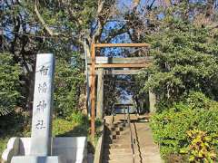 白幡神社鳥居