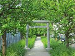 獅子ヶ谷神明社鳥居