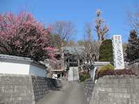 東善寺山門