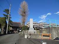 長泉寺参道